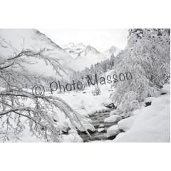 Fruitière sous la neige